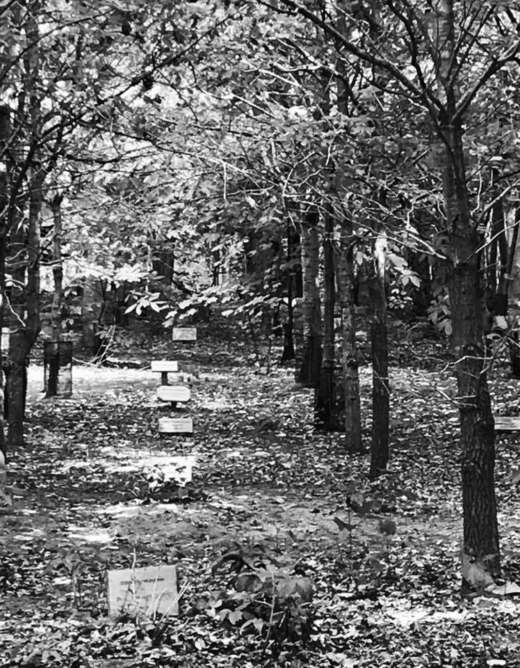 A celebrant led burial at the Greenwood Burial Ground in Farnham, Suffolk, will be an environmentally friendly funeral