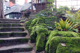 A non religious or religious ceremony? Both options are available for a celebrant led funeral